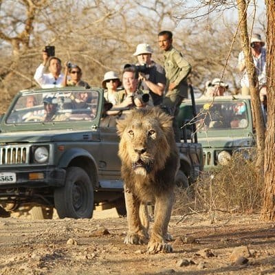 Gir National Park photo 4