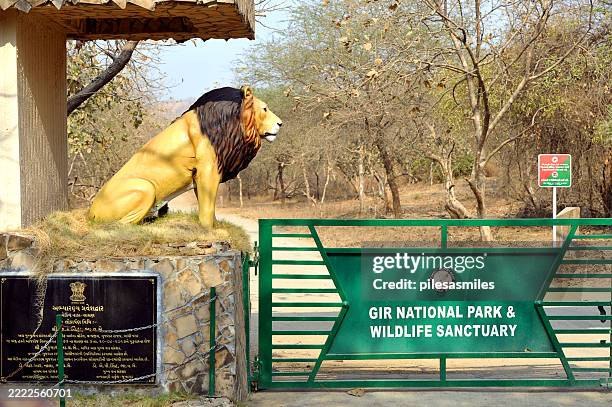 Gir National Park photo 5