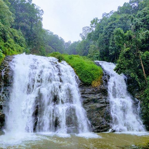 Ooty – Coorg photo 4