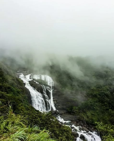 Ooty – Coorg photo 6
